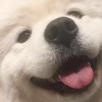 AndzenXII's Avatar'