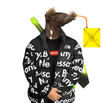 Horse_witd_drip's Avatar'