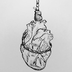 Doc.tor.'s Avatar'