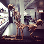 JamaicanGeorge's Avatar'