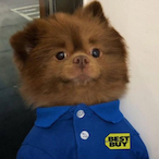 lordpooton's Avatar'