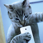 FlorenceGODJOP's Avatar'