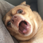 TempyTay's Avatar'