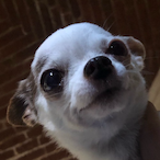 Crotofroto3000's Avatar'