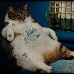 KremlinCat's Avatar'