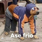 Fatjose13's Avatar'
