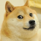 WhenYouSeeFood's Avatar'