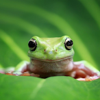 tmelarkey117's Avatar'