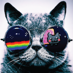 SureFellow's Avatar'