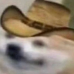 its_pepsi_man's Avatar'