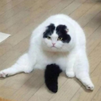 Farcenim.ME's Avatar'