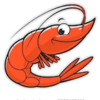 FLOP.Shrimp's Avatar'