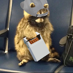 DepressedBobr's Avatar'