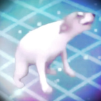 elcelii's Avatar'