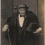 Edgeismyname's Avatar'