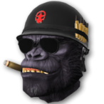 bisousurlesfes's Avatar'