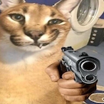 Big_Flopps's Avatar'