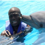 Digital_Dolphin's Avatar'
