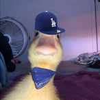 quackingCRIP's Avatar'