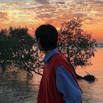 AvoCadoQvQ's Avatar'