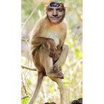 Monky_jagherxt's Avatar'