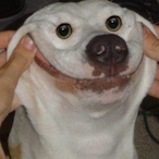 killrsl0th's Avatar'