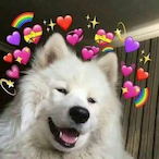 spooTJK's Avatar'