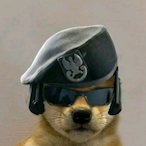 ll-POGGERS-ll's Avatar'