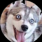 Waifue3's Avatar'