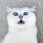 Aar0n-onTTV's Avatar'