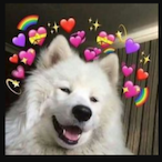 Teufaka's Avatar'