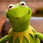 nice_guy_kermit's Avatar'