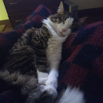 LeonardCid01's Avatar