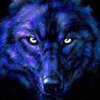 SluggardWolf's Avatar'