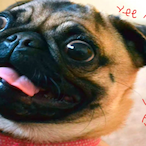 EpicStrongMan's Avatar'