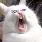 shams.0_o's Avatar'