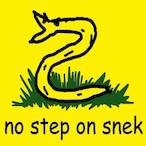 A_Thrillseeker's Avatar