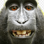 BonJon76's Avatar'