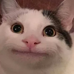 VJUB's Avatar'
