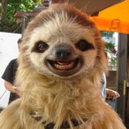 MeNameSlothy's Avatar'