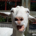 JALANEenTN's Avatar'