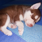 Miami-pier's Avatar'