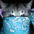 snowyoh's Avatar'