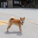 Toast0613's Avatar'