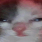 StryzeonX17's Avatar'