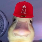 StutterBoy27418's Avatar'