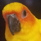 DRACAUFEU_SMURF1's Avatar'