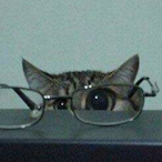 Czennie.-.'s Avatar'
