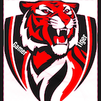 NFE-Tiger's Avatar'