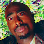 tobe_DRT's Avatar'